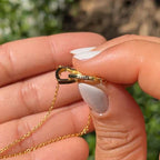 Colar Laço de Amor + Urso com Rosa Eterna