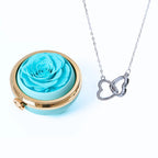 Caixa Paixão Eterna e Colar Dois Corações